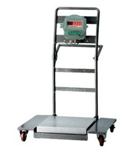 Portable Weighing Solutions (Trolley & Pallet Scales)